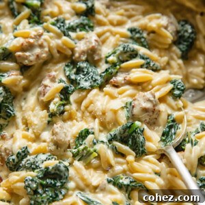 Close up shot of Italian sausage and kale orzo with a spoon