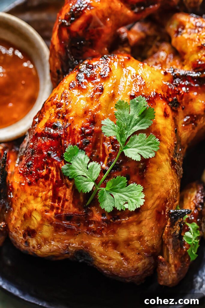 Tropical Mango Glazed Roast Chicken 3 Close up shot of whole roast chicken with mango chutney glaze and coriander garnish