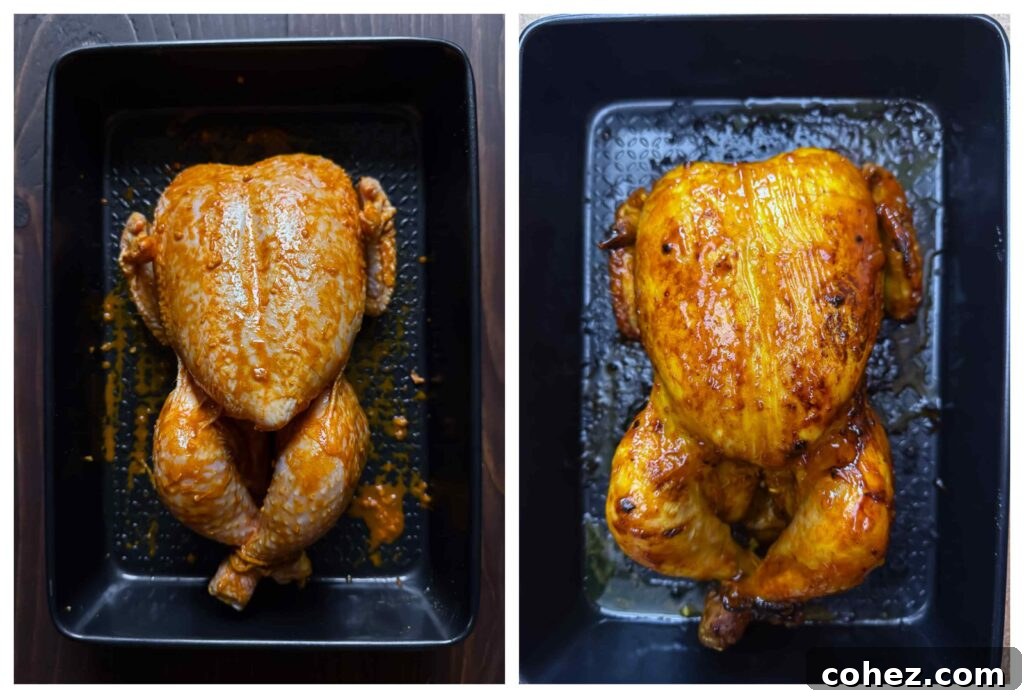 Tropical Mango Glazed Roast Chicken 4 Process shot of whole chicken being covered with mango chutney glaze before roasted