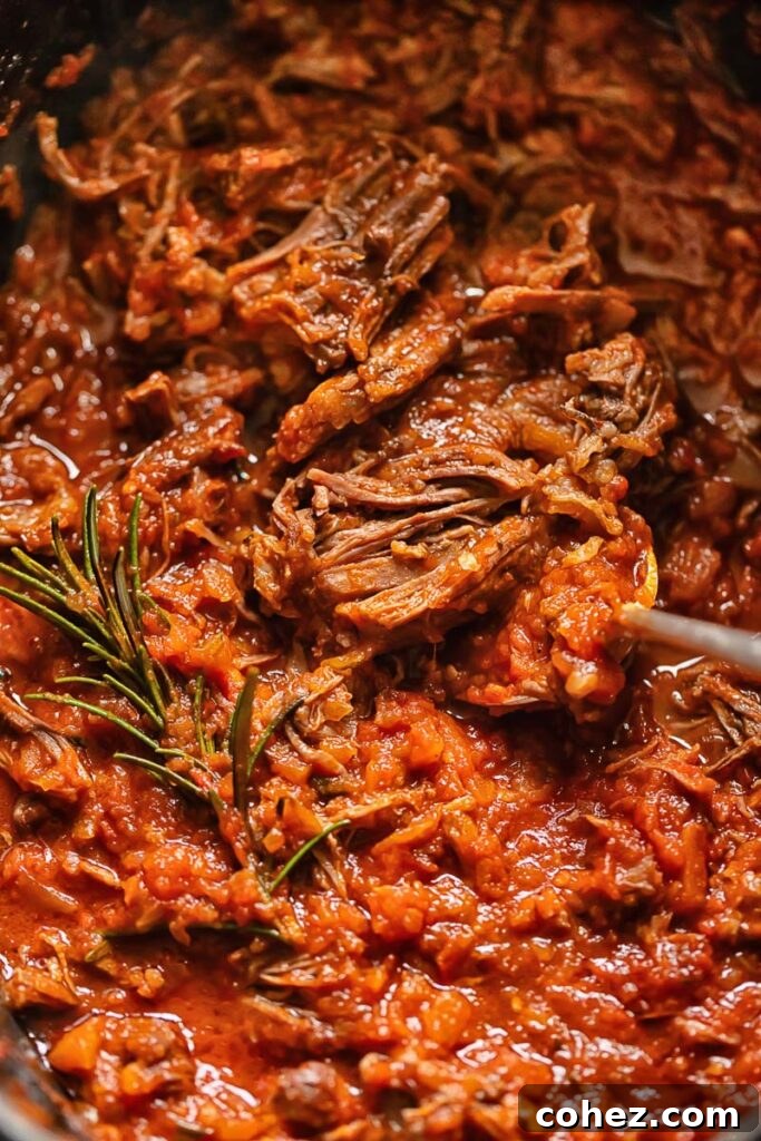 Close up shot of beef short rib pasta sauce being scooped out of a deep pot