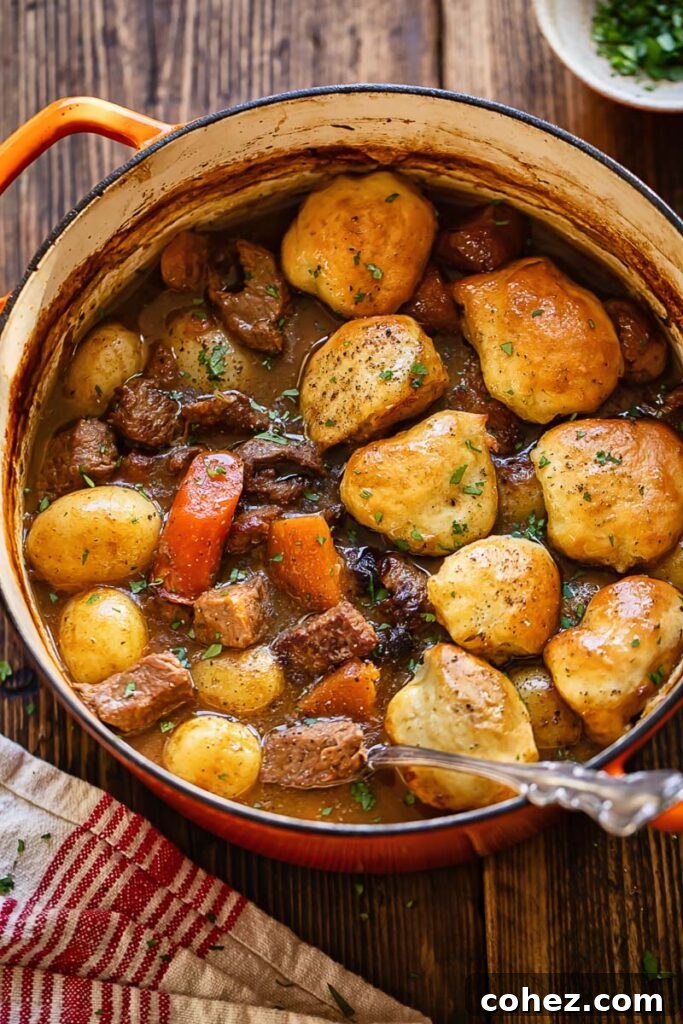 Top down shot of beeft stew and dumplings in a large pot with a serving spoon