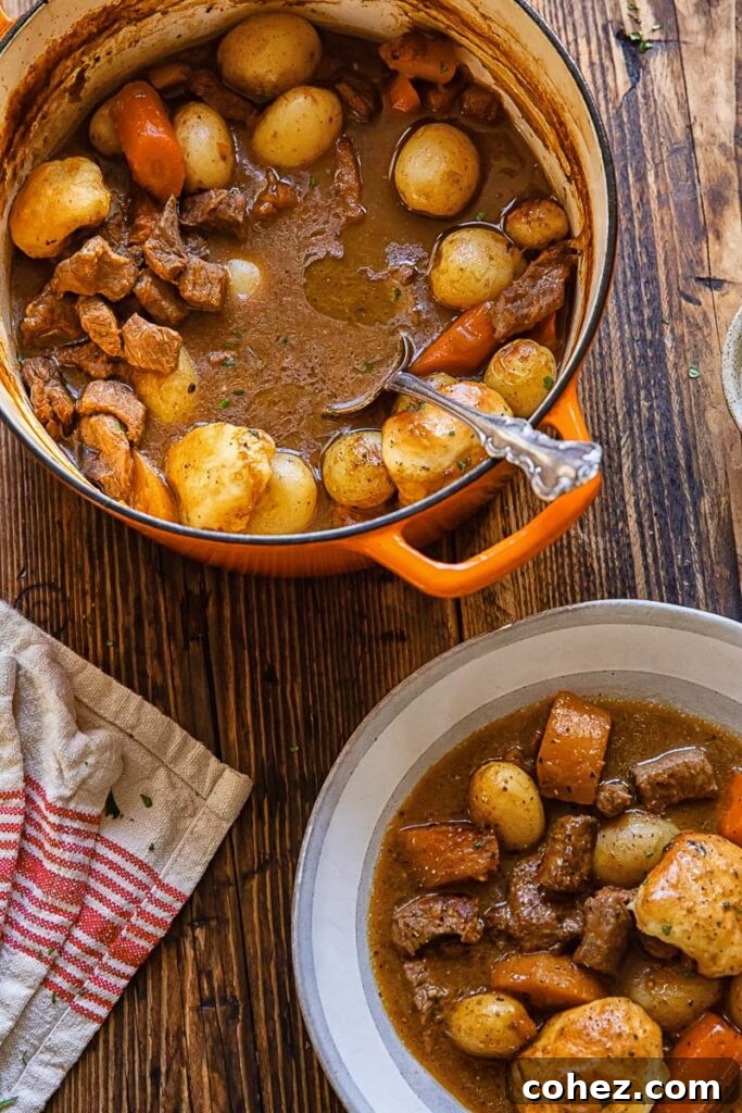 Top down shot of a bowl of beef and dumpling dumpling stew next to cooking pot
