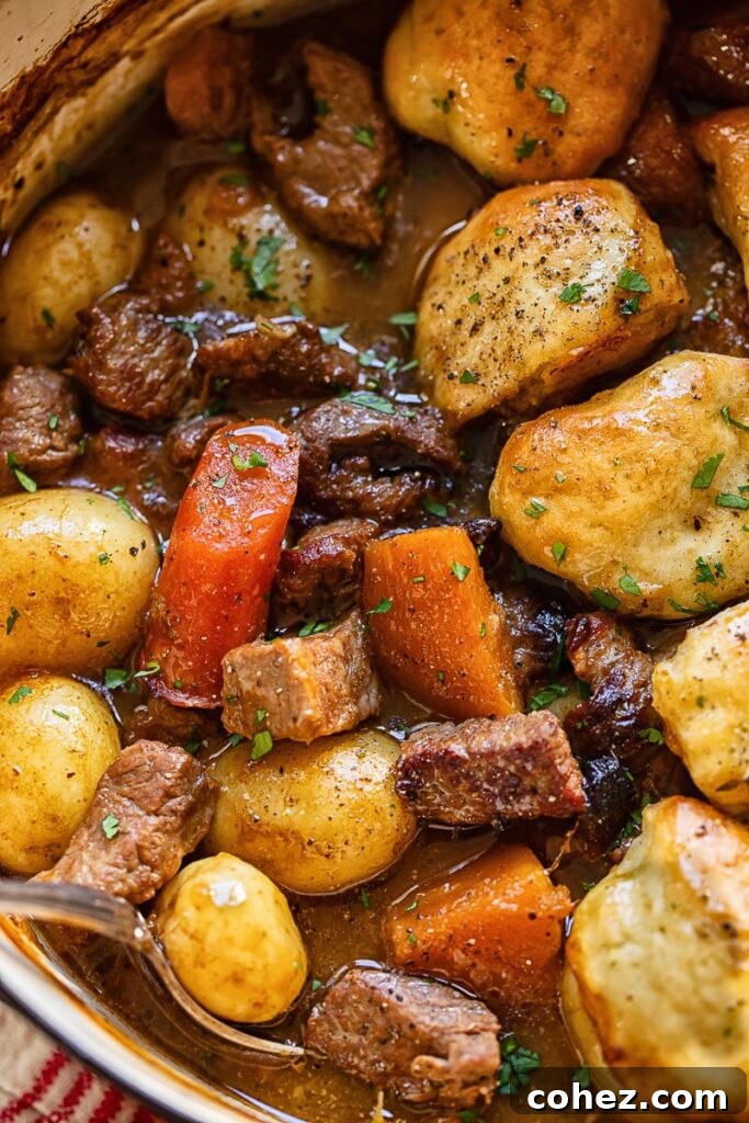 Close up shot of beef stew in a pot with carrots and dumplings