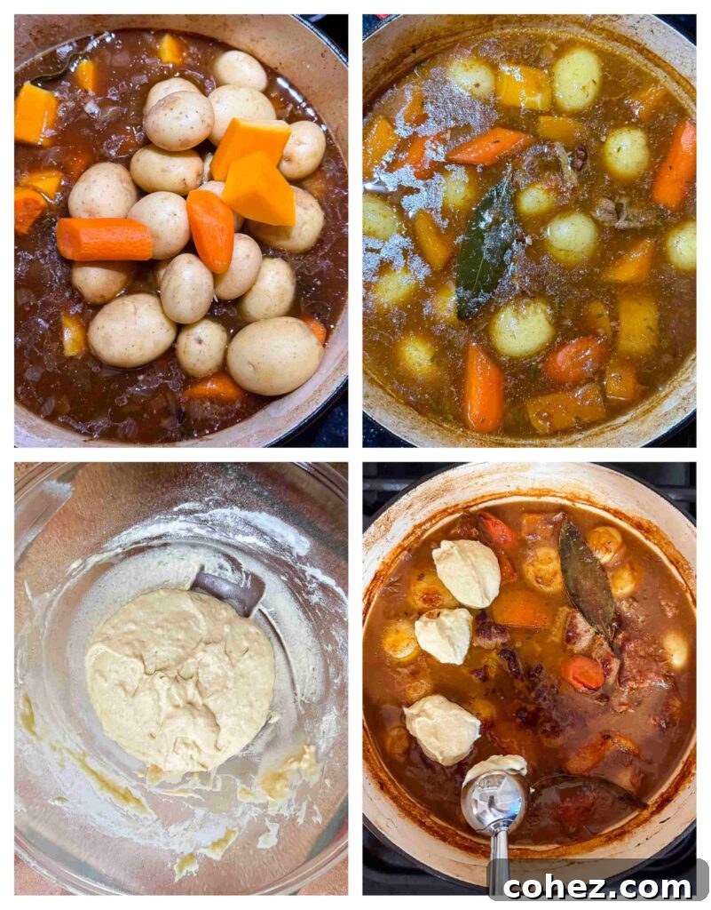 Process shots stew being prepared with beef, veg and herbs before deumplings are added