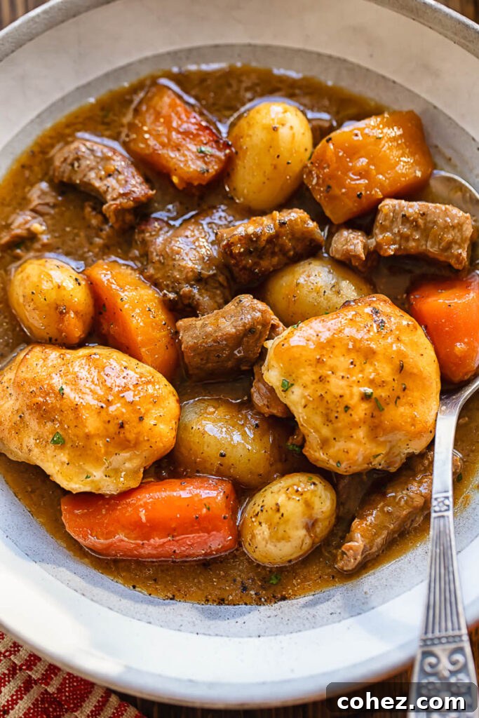 top down view of a bowl with stew and dumplings