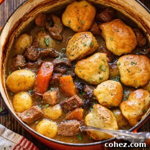 Top down shot of beeft stew and dumplings in a large pot with a serving spoon