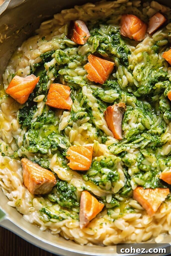 Salmon Orzo with Vibrant Tuscan Kale Pesto 2 Close up shot of kale pesto orzo in a pan with salmon pieces