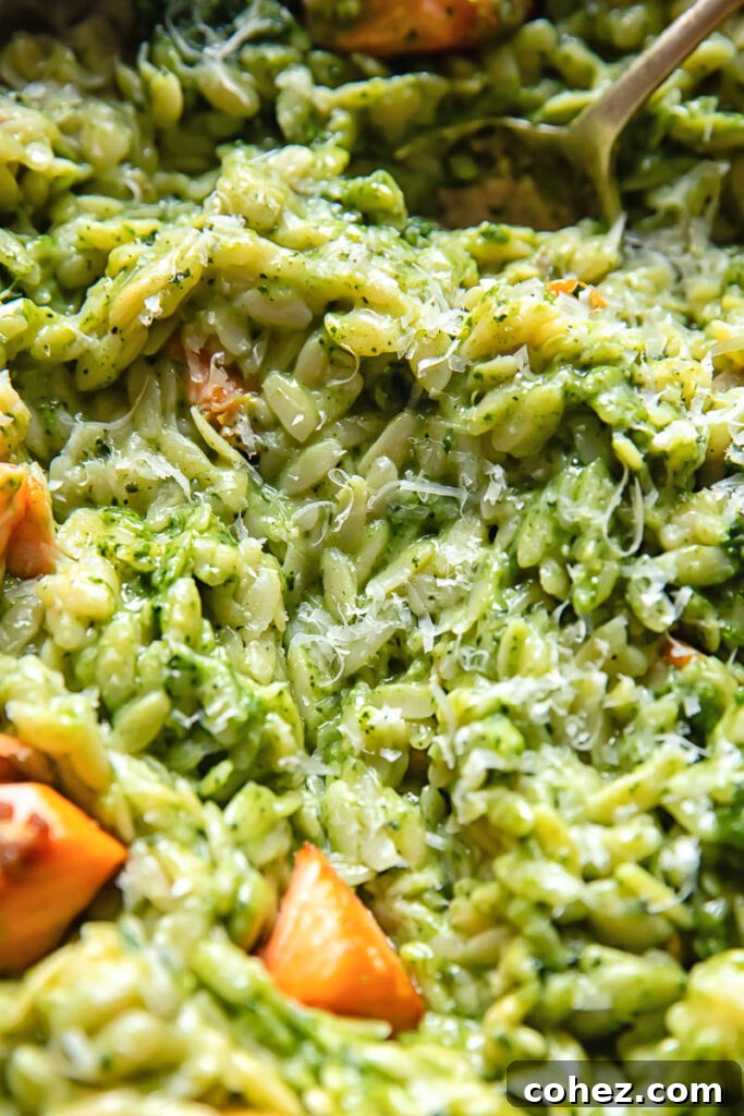 Salmon Orzo with Vibrant Tuscan Kale Pesto 4 Close up shot of creamy pesto orzo with salmon topped with Parmesan
