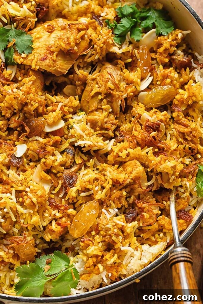 Close up shot of chicken biriyani in a pan with a serving spoon