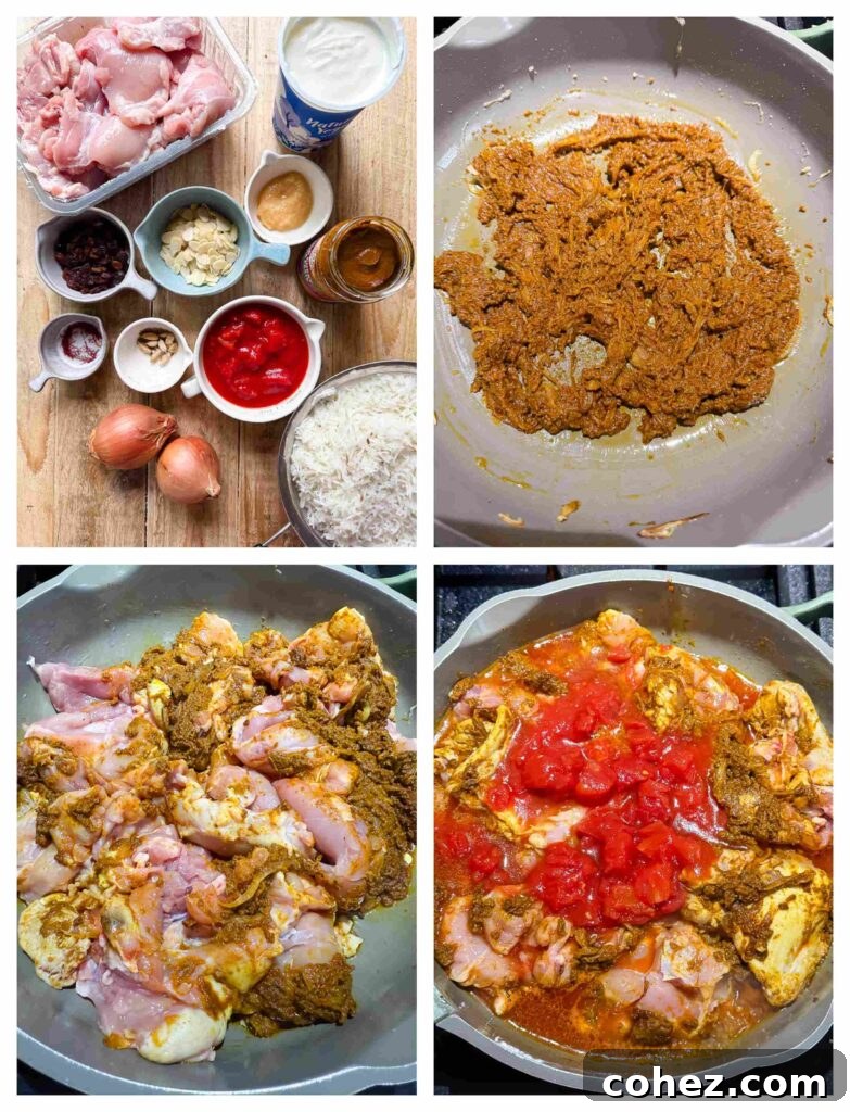 Process shots of chicken and onions with all spices and sauces needed