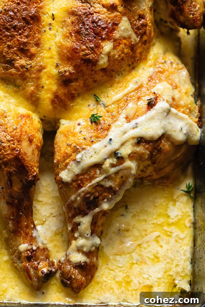 Golden Spatchcock with Dijon Cream 3 Close up shot of mustardy spatchcock chicken with garlic cream drizzle