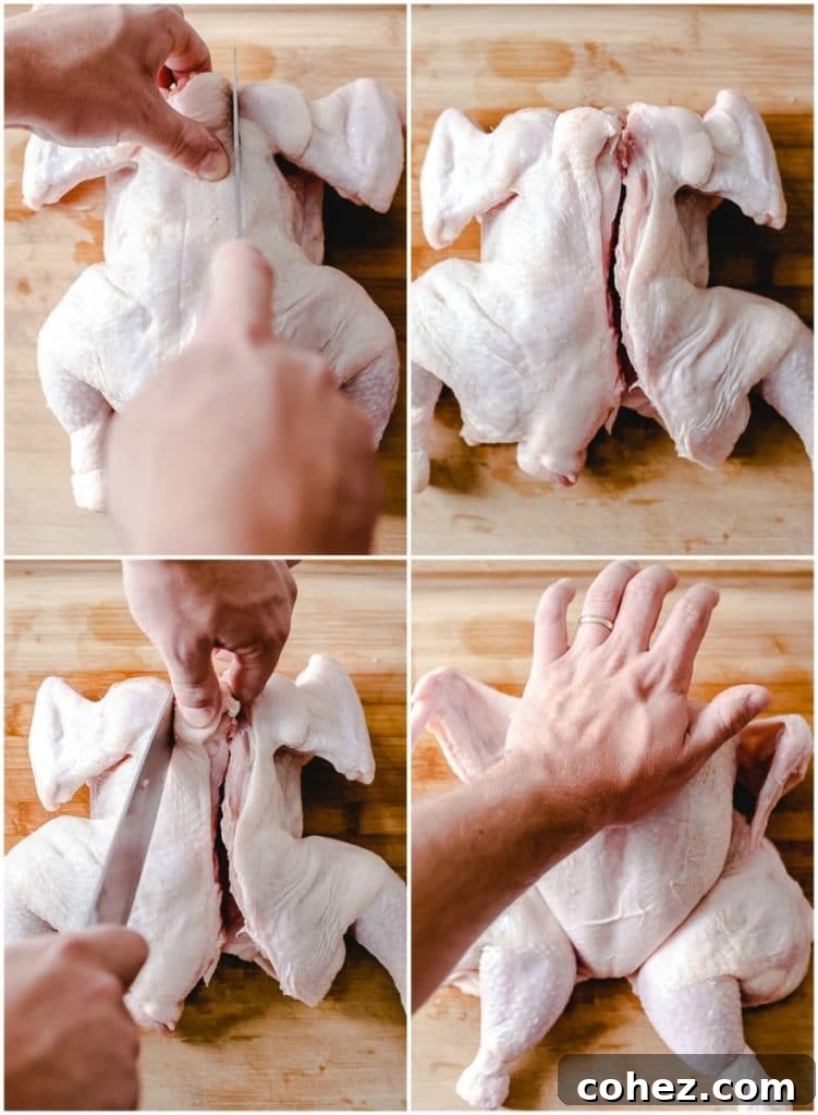 Golden Spatchcock with Dijon Cream 4 visual guide to spatchcocking a chicken