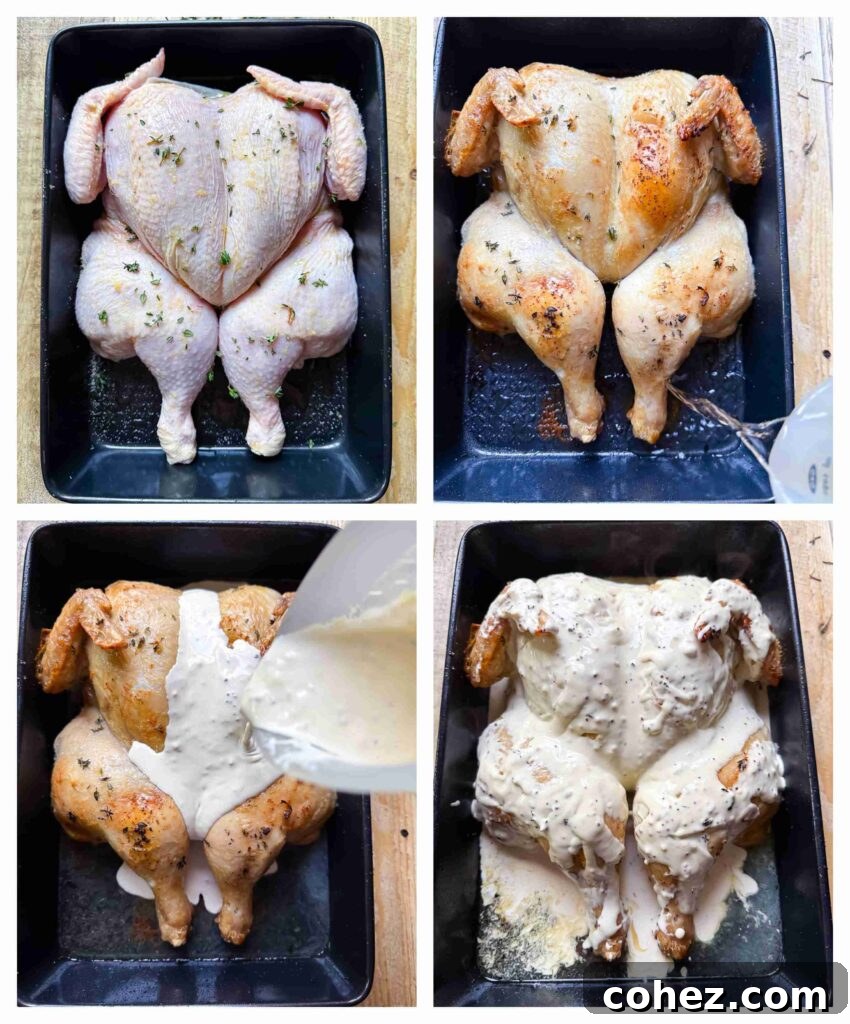 Golden Spatchcock with Dijon Cream 5 Process shots of whole chicken being seasoned and prepared then roasted