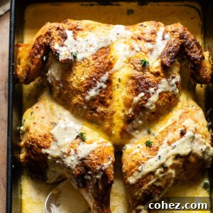 Golden Spatchcock with Dijon Cream 6 Top down shot of spatchcock chicken in a baking tray with creamy mustard sauce