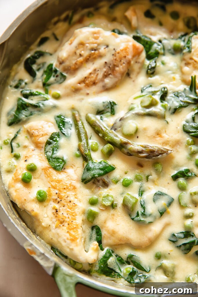 Close up shot of chicken primavera in cream sauce with peas and asparagus