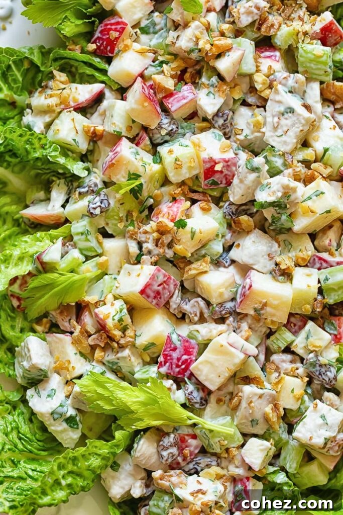 Elevated Chicken Waldorf Salad 3 Close-up shot of the Chicken Waldorf Salad, showcasing the creamy dressing, chicken pieces, and various ingredients ready for serving.