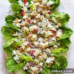Elevated Chicken Waldorf Salad 5 Top down shot of chicken waldorf salad on a bed of lettuce