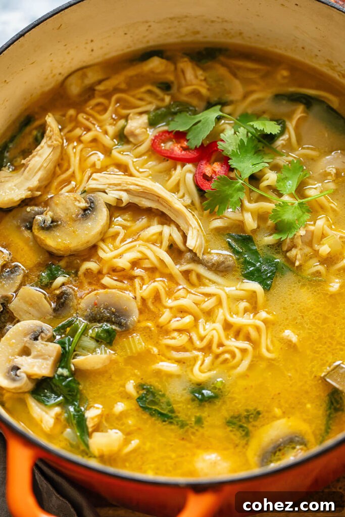 Close-up of a steaming bowl of chicken noodle soup with mushrooms, spinach, and sliced chili garnish.
