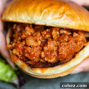 Close up shot of someone holding a sloppy joe sandwich