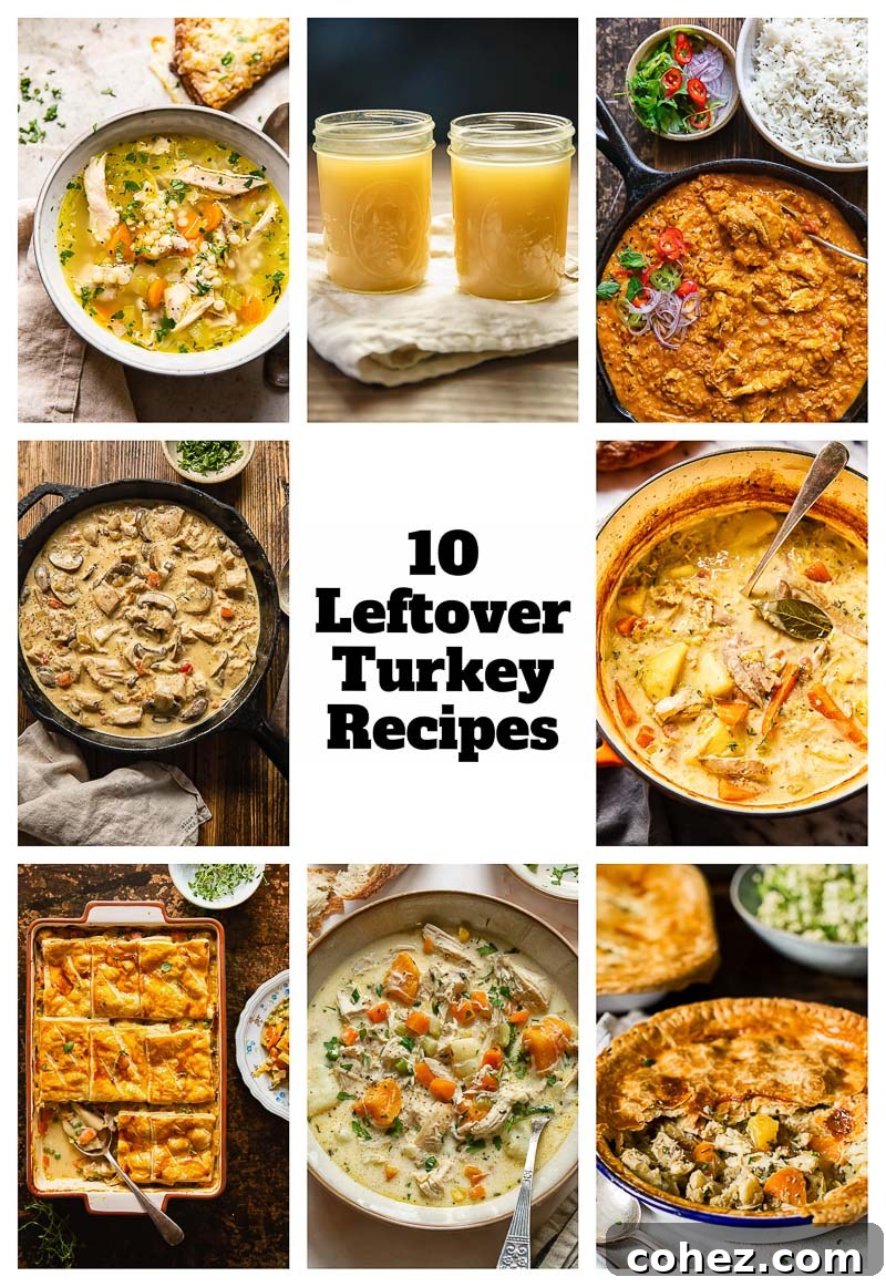A vibrant photo collage showcasing various appetizing dishes made from leftover turkey, including soups, stews, curries, and pies, artfully arranged to inspire creative post-holiday cooking.