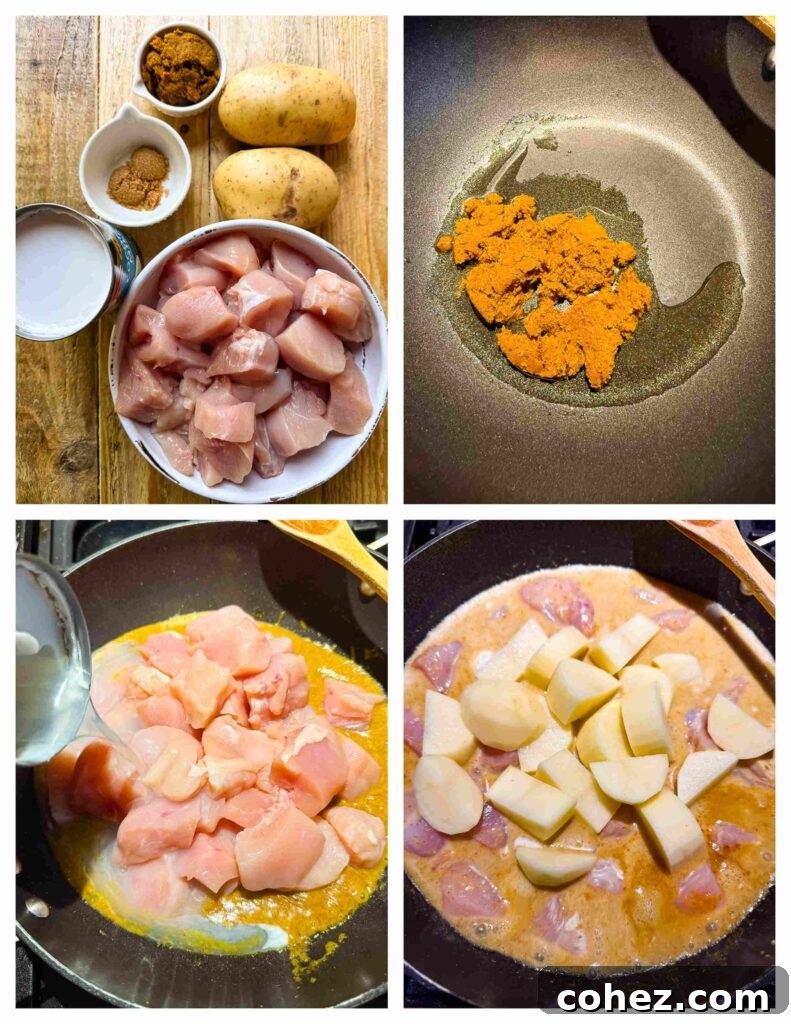 Process shots showing chicken being sliced and cooked, then added to the curry pot.
