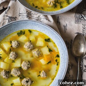 Two steaming bowls of traditional Russian Frikadeller Soup, featuring delicate meatballs and vegetables, on a rustic table.