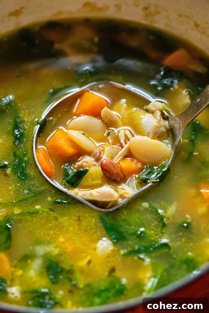 Hearty Chicken and Bean Delight 3 Chicken and bean soup being served from a pot