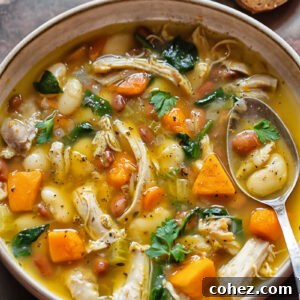 Hearty Chicken and Bean Delight 5 Top down shot of chicken and bean soup in a bowl