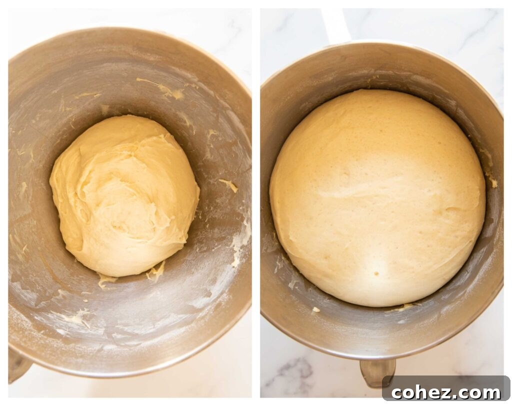 Wake Up To Everything Bagel Dinner Rolls 4 Two side-by-side images showcasing yeasted dough before and after its first proof, demonstrating a significant increase in volume and air pockets.