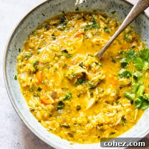 Mulligatawny Soup in a rustic bowl with a spoon, showing its vibrant yellow color and texture.
