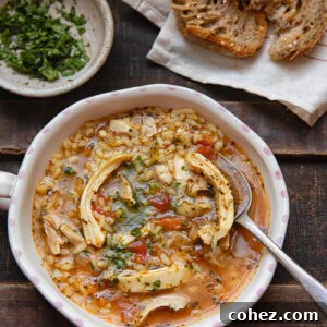 Top down view of spicy chicken and rice soup, also known as Georgian Kharcho, in a bowl with herbs.