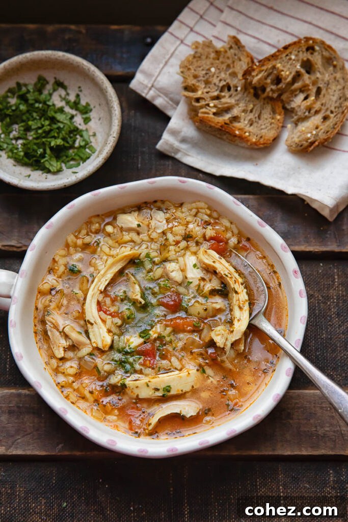 A steaming bowl of authentic Georgian Kharcho, spicy chicken and rice soup, garnished with fresh herbs.