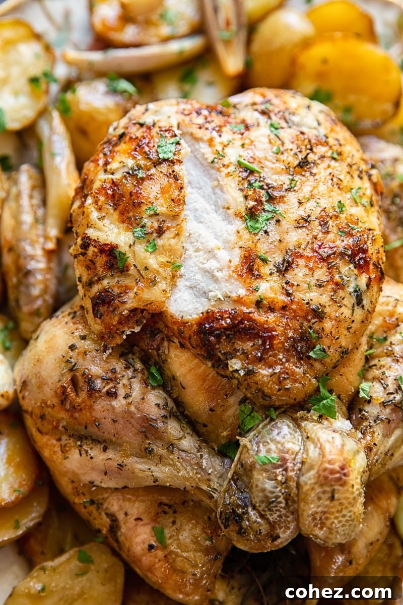 Close up of perfectly carved, moist roast chicken meat.