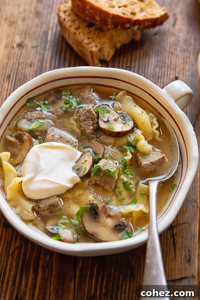 Beef stroganoff soup in a bowl topped with sour cream