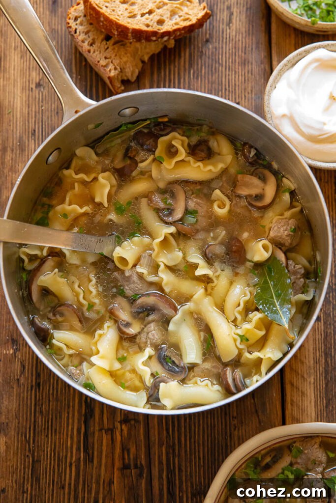 Top down shot of beef stroganoff soup in a small pot