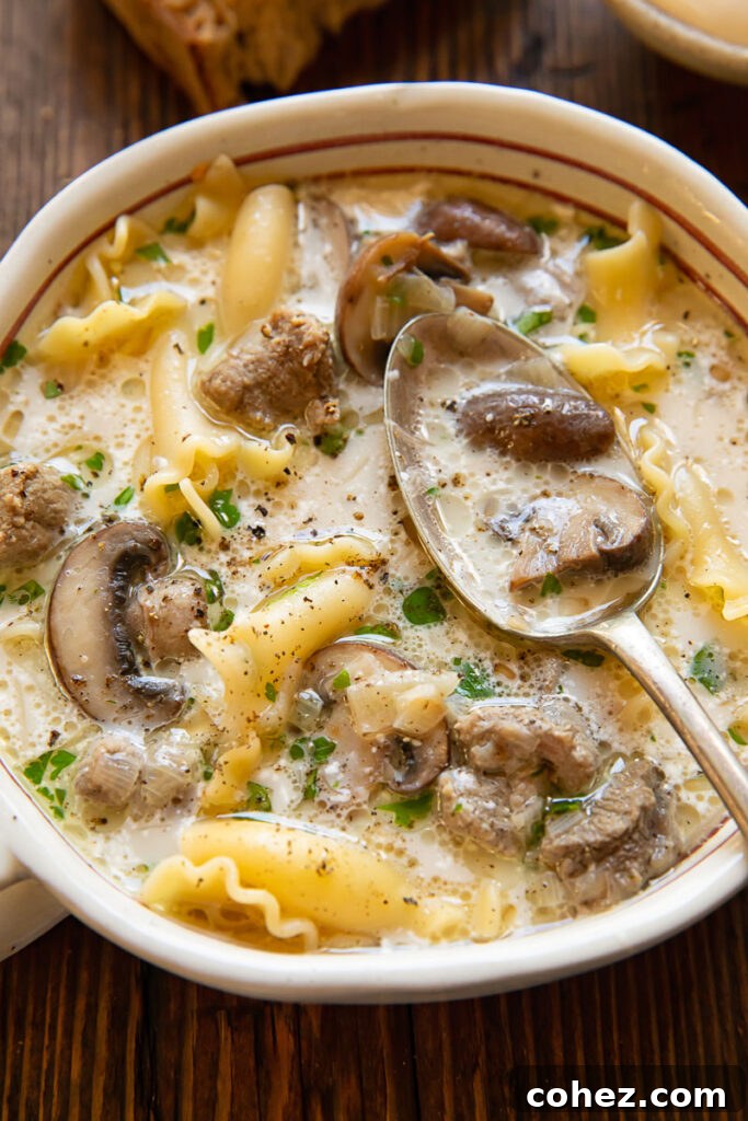 Close up shot of beef stroganoff soup in a bowl with a spoon