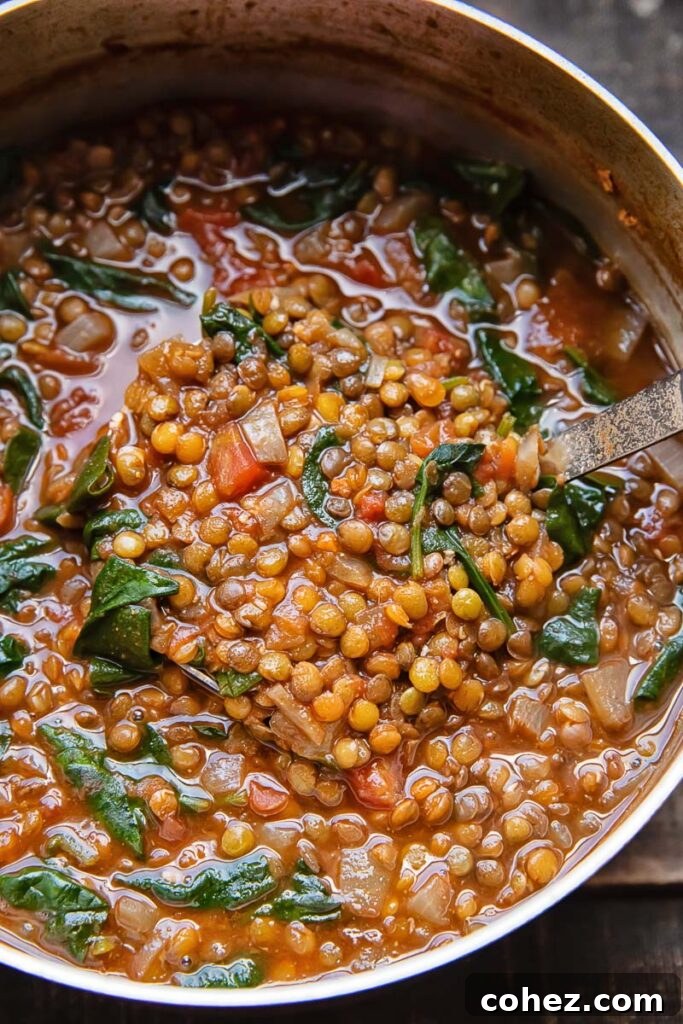 A large pot of rich lentil spinach soup simmering on the stove, with a ladle resting inside.