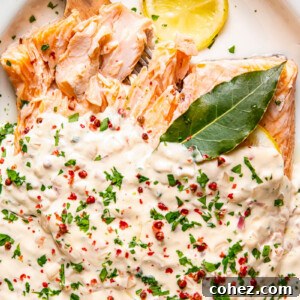 Close up of a whole side of salmon baked and served with a vibrant rosé cream sauce, garnished with fresh herbs and pink peppercorns.