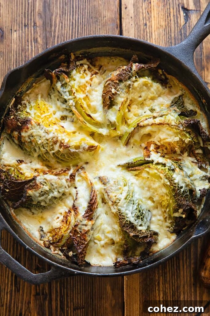 Cast iron skillet with cabbage wedges arranged in a fan and covered by a creamy sauce, ready to serve.
