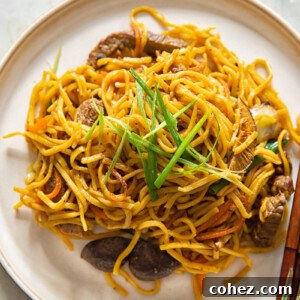 noodles topped with sliced green onions on a brown plate
