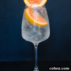 Image of a wine glass with a light coloured liquid with two slices of grapefruit.