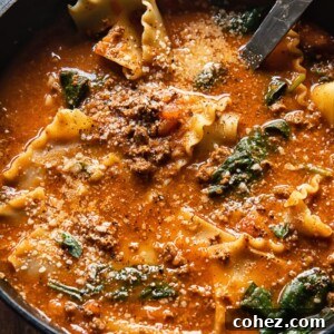 close up of a pot of lasagna soup with a ladle inside