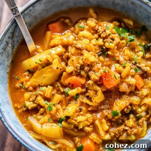 close up of a bowl of cabbage soup with beef