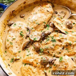 Chicken breasts in mushroom sauce